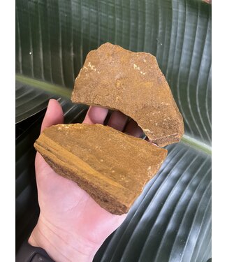 Rough Yellow Jasper Size 4 [300-399gr] *disc.*