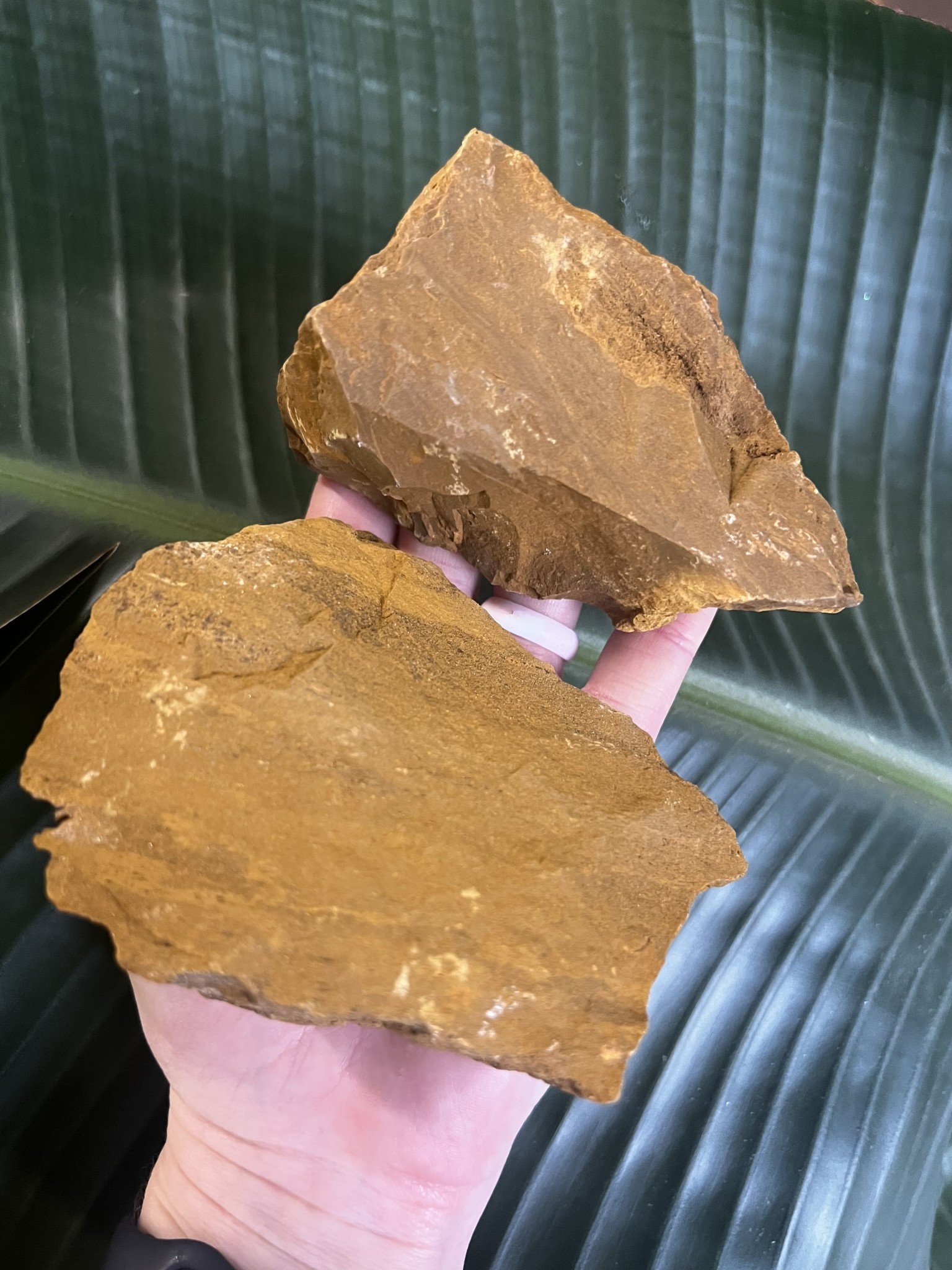 Rough Yellow Jasper Size 5 [400-499gr] - The Raw Rock Shop Inc.