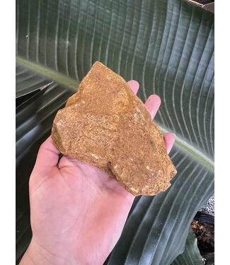 Rough Yellow Jasper Size 6 [500-599gr] *disc.*