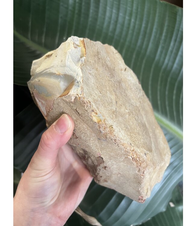 Rough Polychrome Jasper Size 26 [2500-2599gr]
