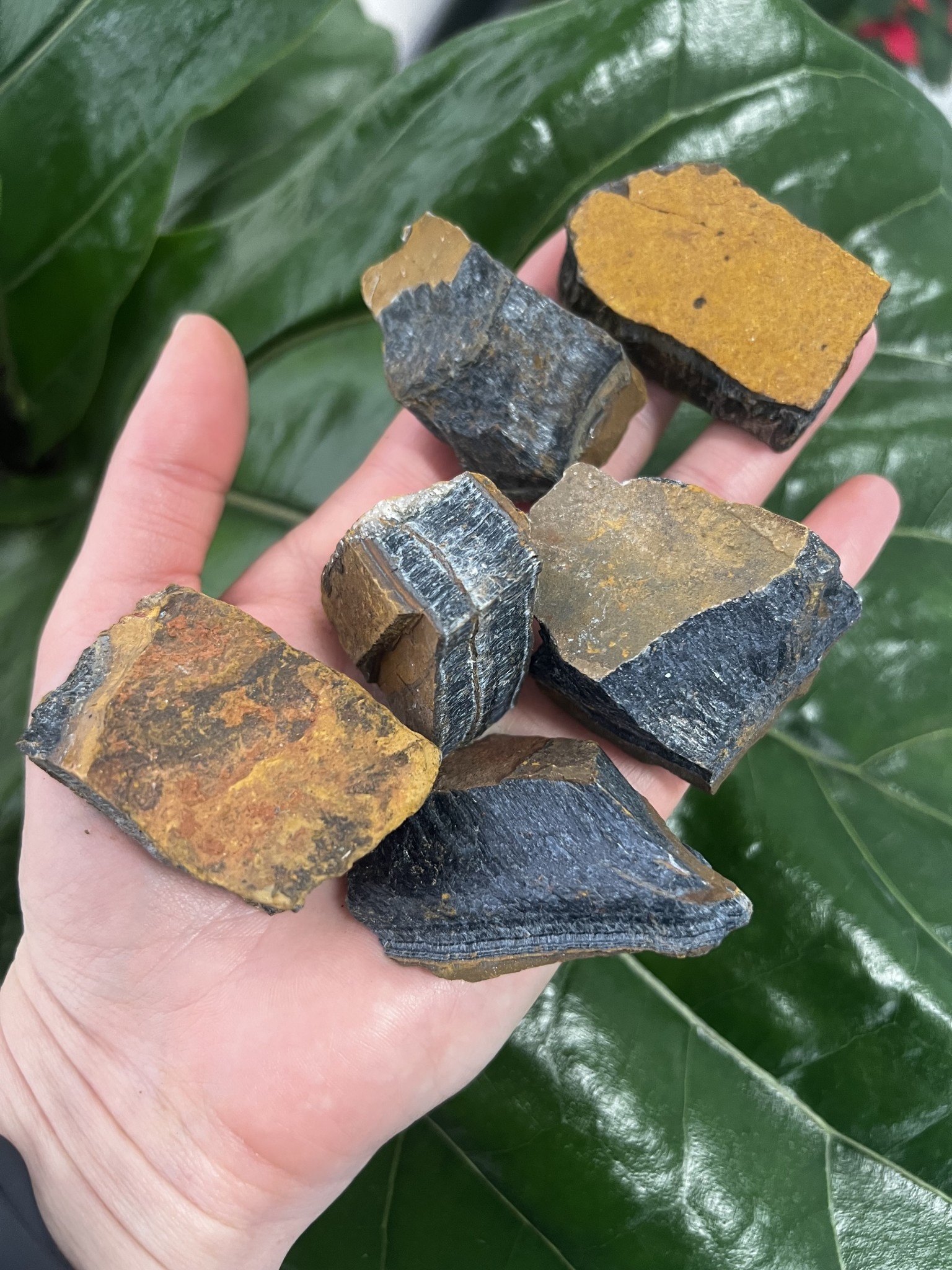 Rough tiger eye for sale best sale