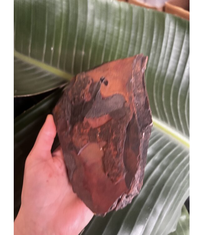 Rough Red Tiger Eye Size 9 [800-899gr]