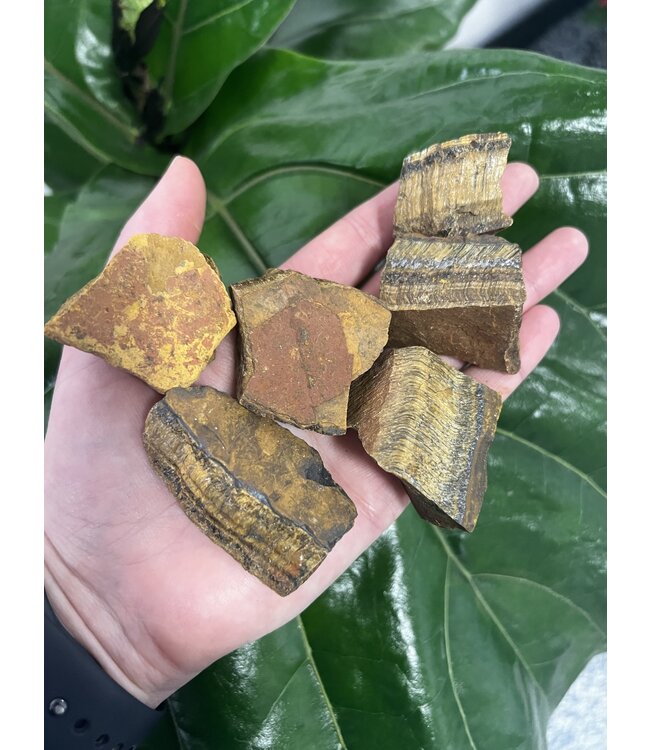 Rough Gold Tiger Eye Size Small 500gr Bulk Pack