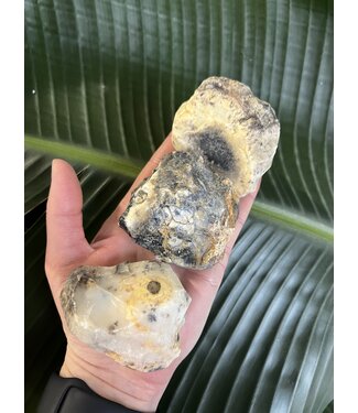 Rough Dendritic Chalcedony Size 2 [100-199gr]