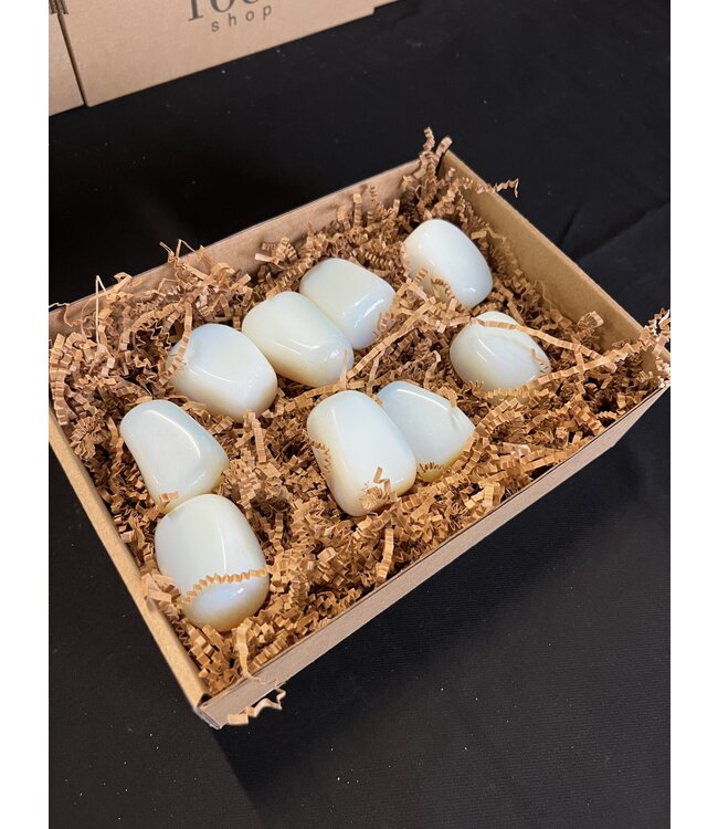 Opalite Palms 1KG bulk lot
