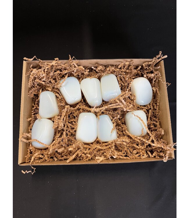 Opalite Palms 1KG bulk lot