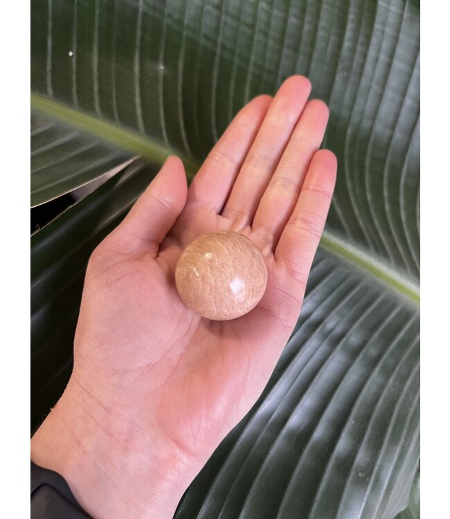 Peach Moonstone Sphere, 35-39mm