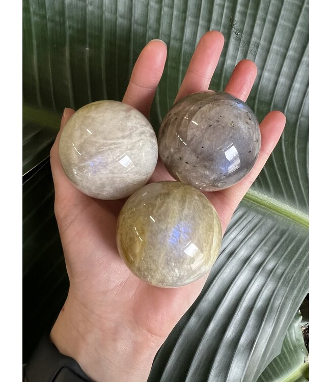 Garnierite, High Flash, Sphere, 50-54mm