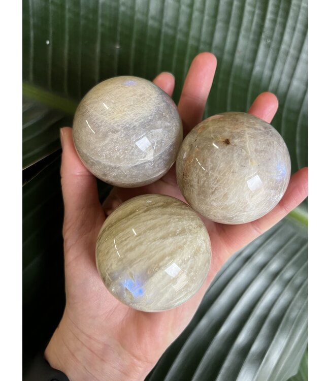 Garnierite, High Flash, Sphere, 55-59mm