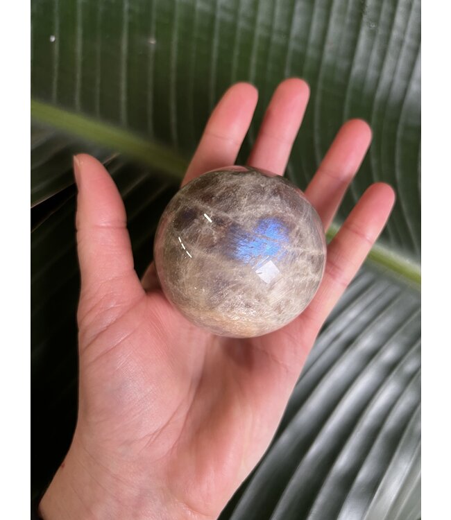 Garnierite, High Flash, Sphere, 60-64mm