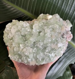 Apophyllite Specimen #316, 2360gr *disc.*