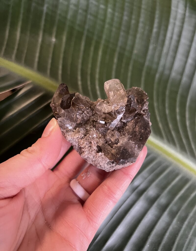 Smoky Quartz Cluster #141, 120gr *disc.*