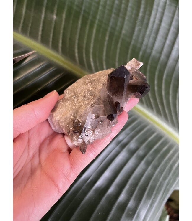 Smoky Quartz Cluster #144, 158gr *disc.*