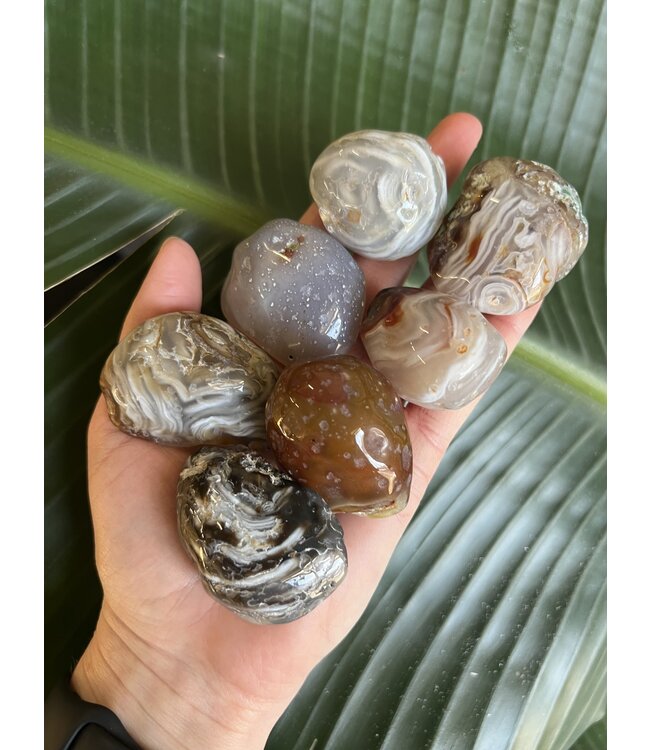 Enhydro Agate Size Small [25-49gr]