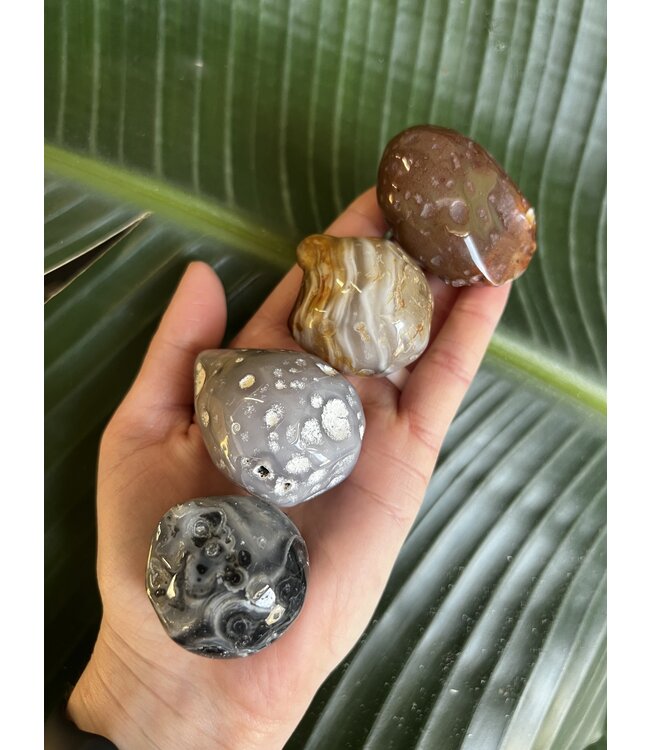 Enhydro Agate Size Medium [50-74gr]