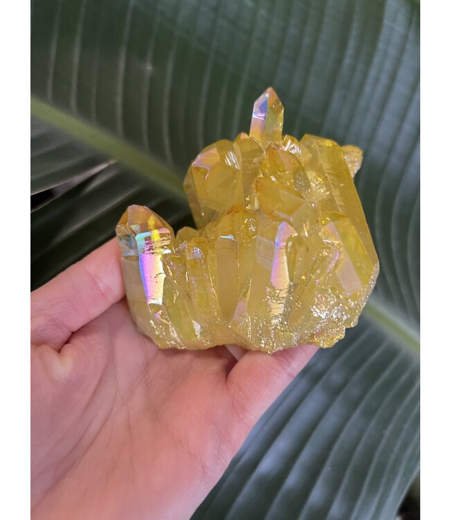 Yellow Aura Cluster #57, 332gr *disc.*