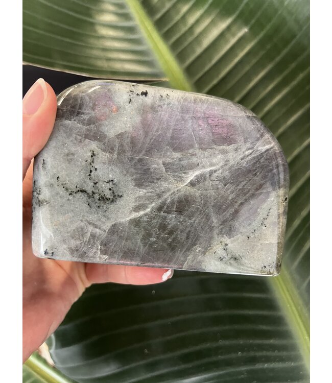 Labradorite Freeform #100, 1216gr *disc.*