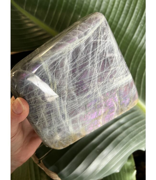 Labradorite Freeform #101, 2128gr *disc.*