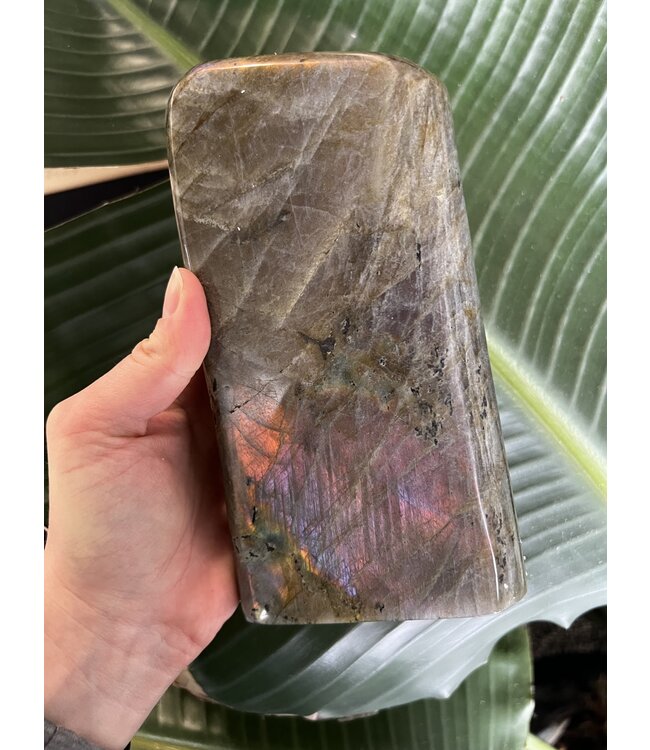 Labradorite Freeform #99, 1950gr *disc.*