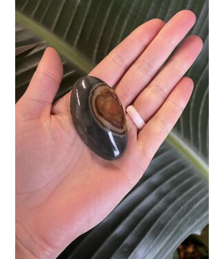 Polychrome Jasper Palm Stone, Size XX-Small [25-49gr]