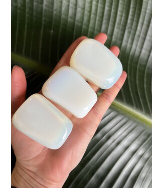 Opalite Palm Stone, Size Medium [100-124gr]