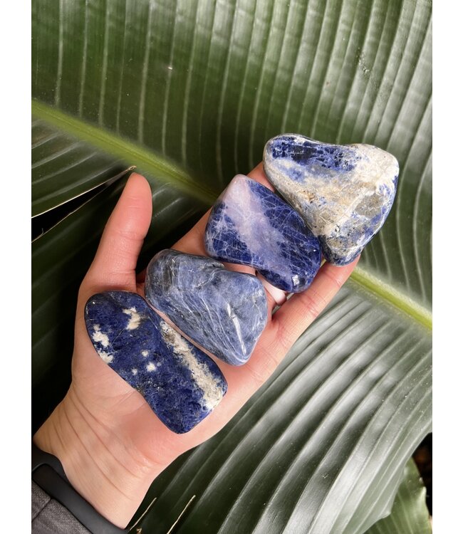 Sodalite Palm Stone, Size X-Small [50-74gr]