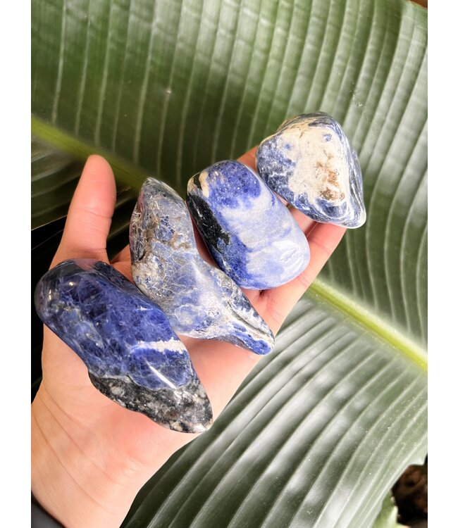Sodalite Palm Stone, Size Medium [100-124gr]