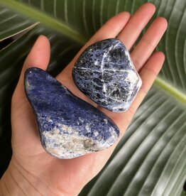 Sodalite Palm Stone, Size Large [125-149gr]