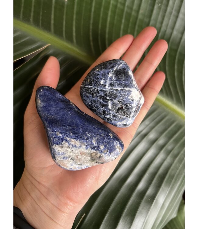 Sodalite Palm Stone, Size Large [125-149gr]