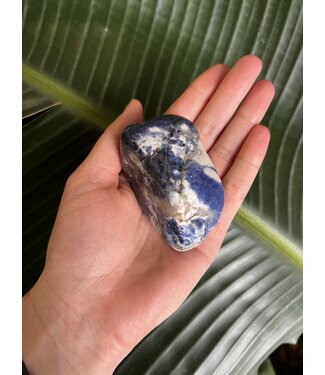 Sodalite Palm Stone, Size X-Large [150-174gr]