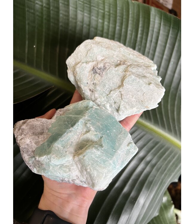 Rough Amazonite Size 8 [700-799gr]