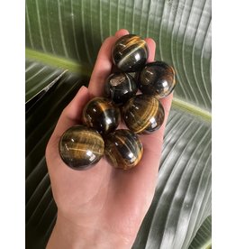 Tigers Eye | Blue Honey Tiger Eye | CZ Small