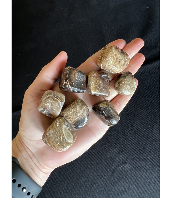 Chocolate Calcite Tumbled Stones, Size Medium, purchase individual or bulk
