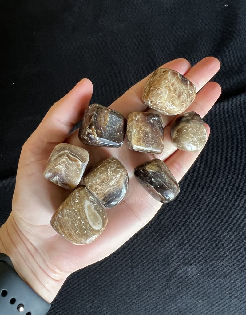 Chocolate Calcite Tumbled Stones, Size Medium, purchase individual or bulk