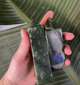 Nephrite Point, Size Giant-Plus [225-249gr]