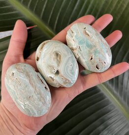Smithsonite Palm, Size Small [75-99gr]