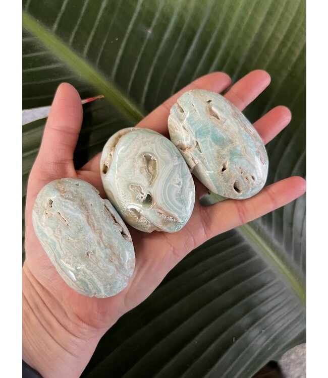 Smithsonite Palm, Size Small [75-99gr]