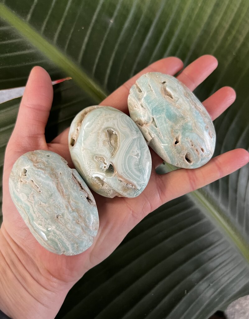 Smithsonite Palm, Size Small [75-99gr]