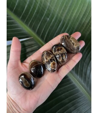 Chocolate Calcite Palm, Size Baby [1-24gr]
