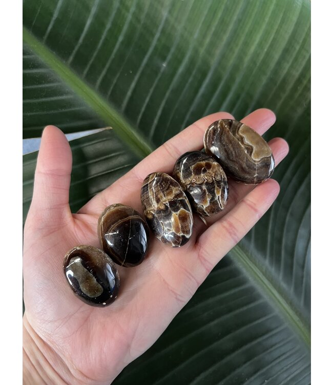 Chocolate Calcite Palm, Size Baby [1-24gr]