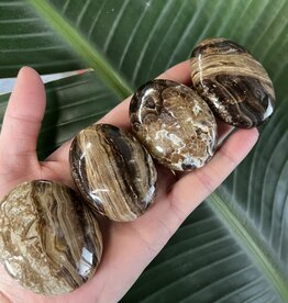 Chocolate Calcite Palm, Size X-Small [50-74gr]