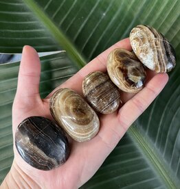 Chocolate Calcite Palm, Size XX-Small [25-49gr]