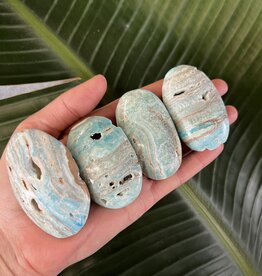 Blue Aragonite Palm, Size X-Small [50-74gr]