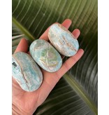 Blue Aragonite Palm, Size Small [75-99gr]