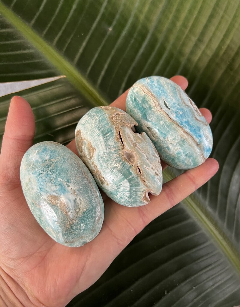 Blue Aragonite Palm, Size Medium [100-124gr]