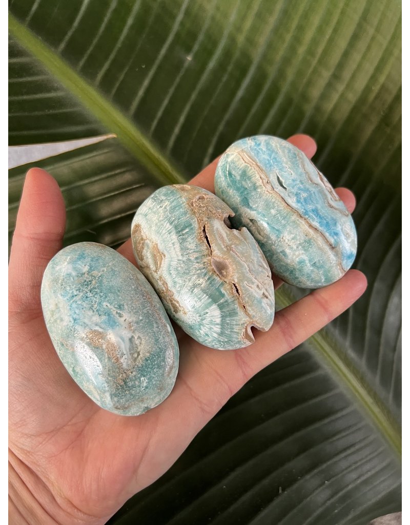 Blue Aragonite Palm, Size Medium [100-124gr]