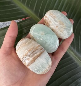 Caribbean Calcite Palm, Size Small [75-99gr]