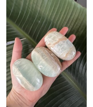 Caribbean Calcite Palm, Size Large [125-149gr]