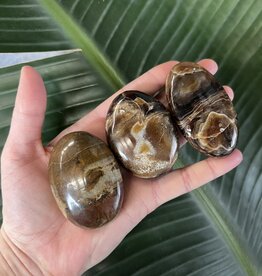 Chocolate Calcite Palm, Size Small [75-99gr]