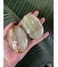 Green Banded Onyx Palm, Size Large [125-149gr]